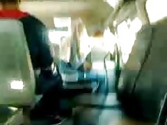 Μικρό πουλί flash λεωφορείο στη συνέχιση...